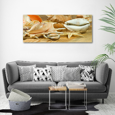 Canvas wall art Shells on wood