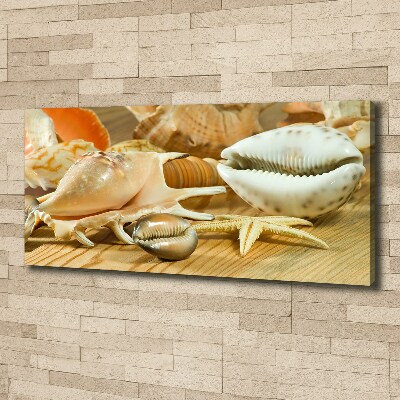 Canvas wall art Shells on wood