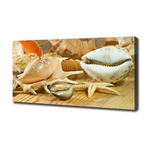 Canvas wall art Shells on wood