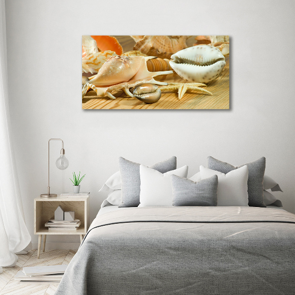 Canvas wall art Shells on wood