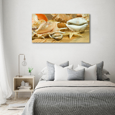 Canvas wall art Shells on wood