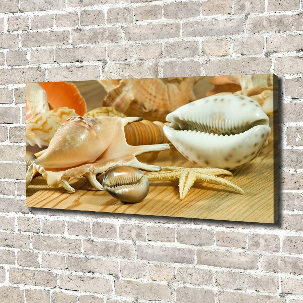 Canvas wall art Shells on wood