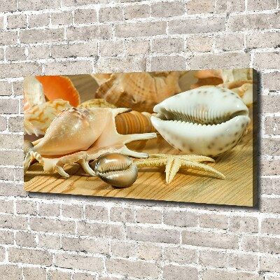 Canvas wall art Shells on wood