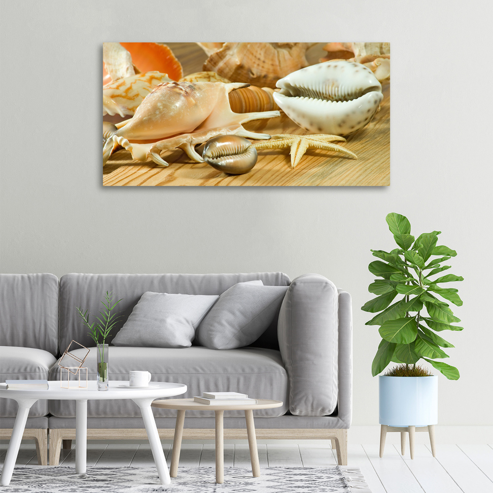 Canvas wall art Shells on wood