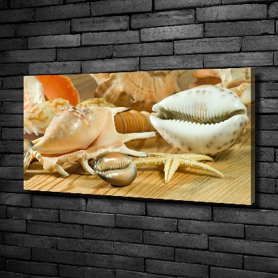 Canvas wall art Shells on wood