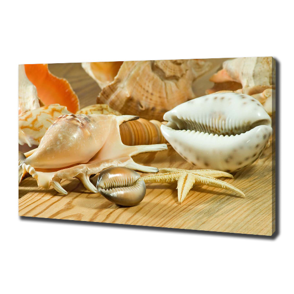 Canvas wall art Shells on wood