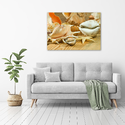 Canvas wall art Shells on wood