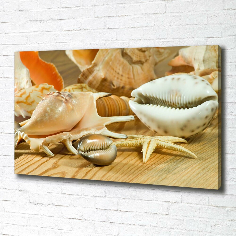 Canvas wall art Shells on wood