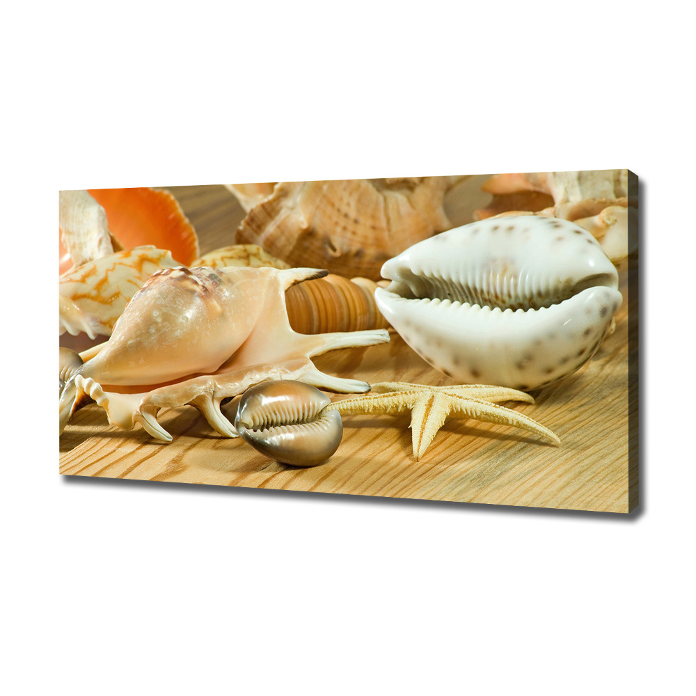 Canvas wall art Shells on wood