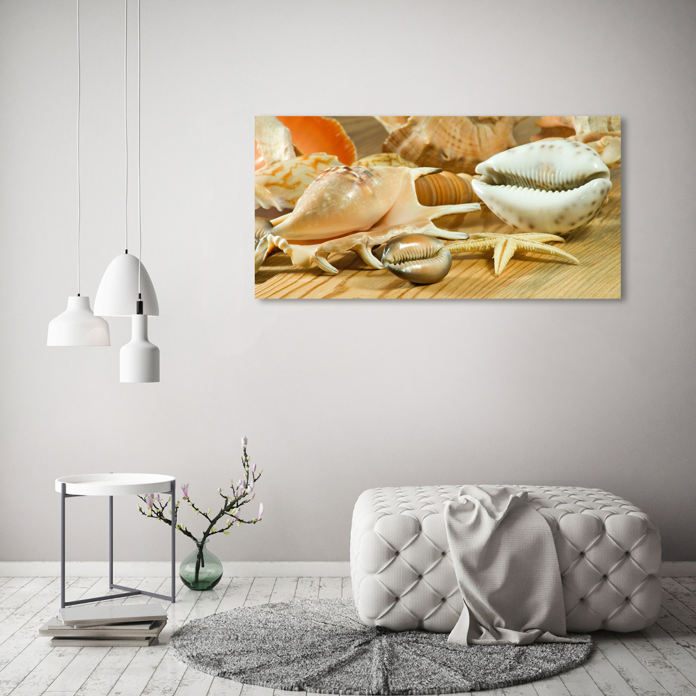 Canvas wall art Shells on wood