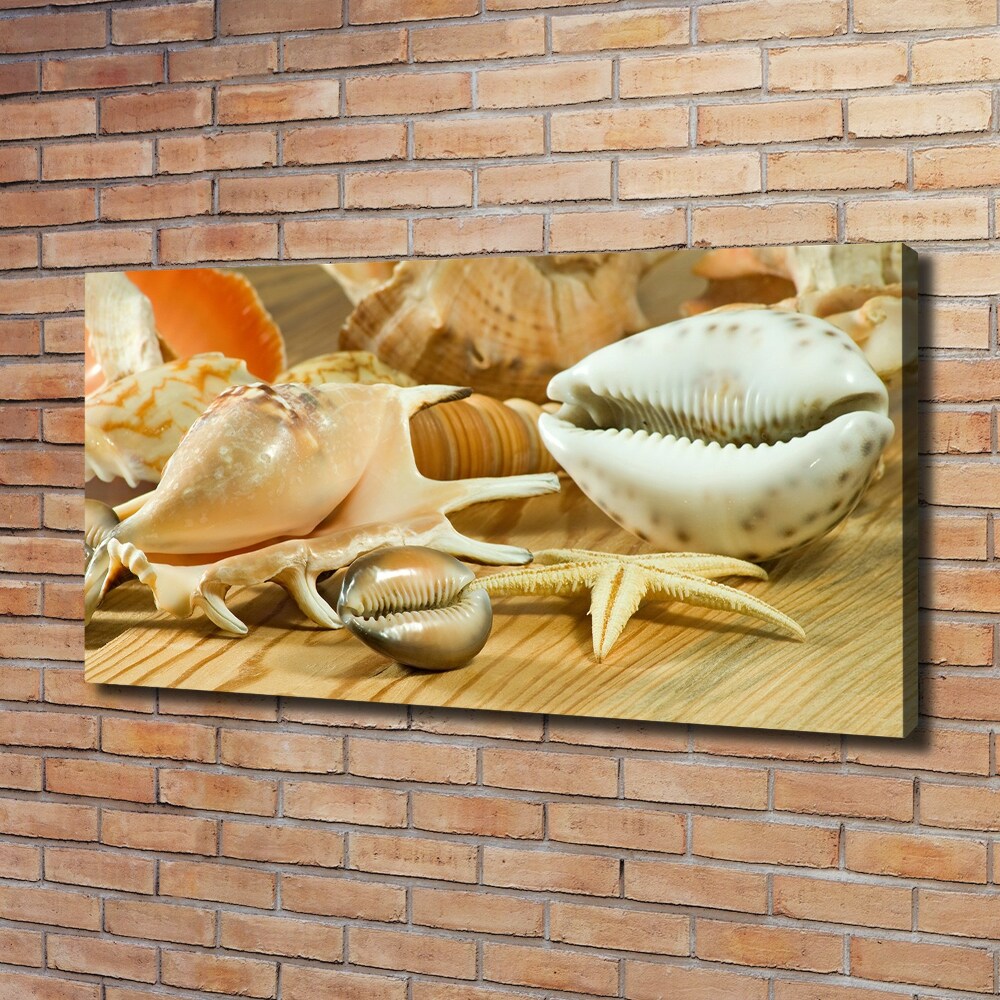 Canvas wall art Shells on wood