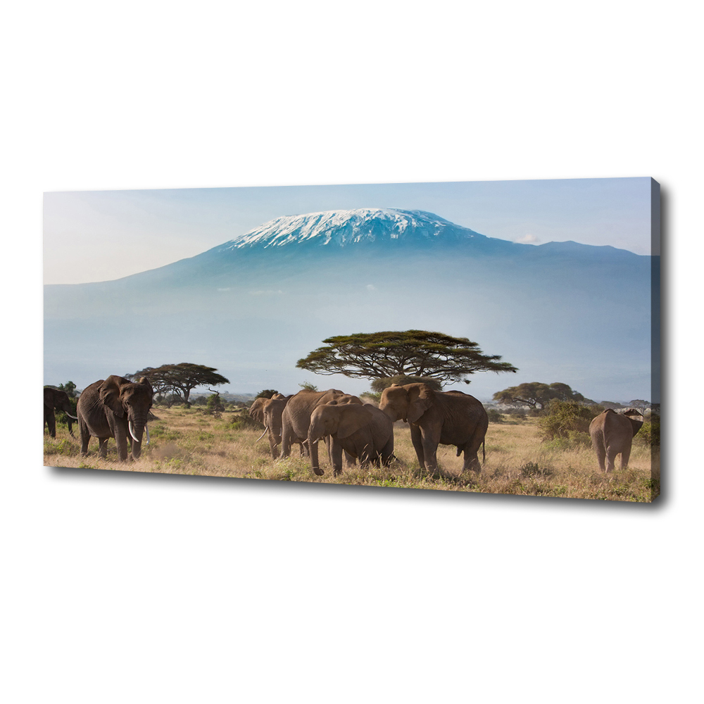 Canvas wall art Kilimanjaro elephants