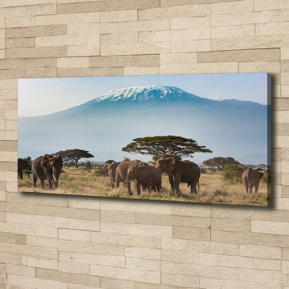 Canvas wall art Kilimanjaro elephants