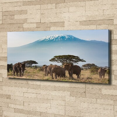 Canvas wall art Kilimanjaro elephants