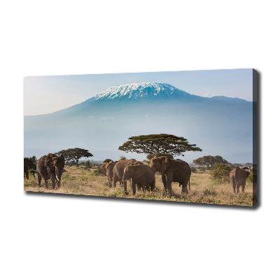 Canvas wall art Kilimanjaro elephants