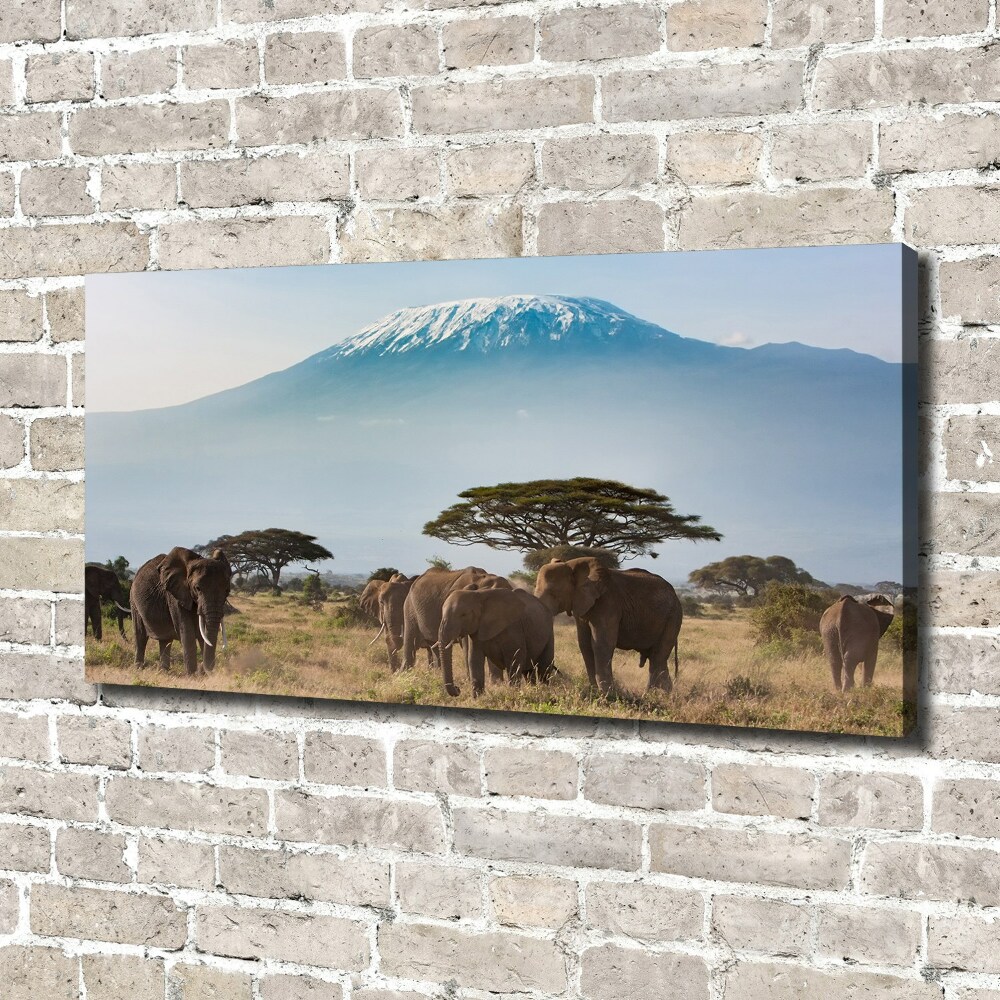 Canvas wall art Kilimanjaro elephants