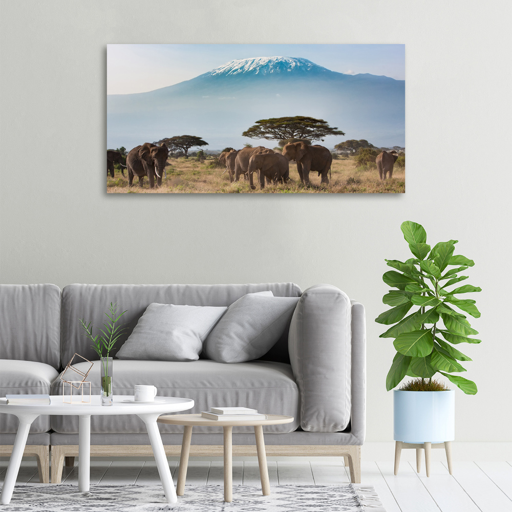 Canvas wall art Kilimanjaro elephants