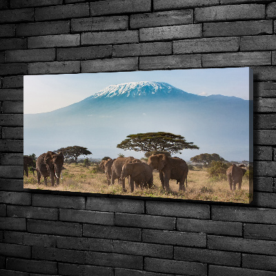 Canvas wall art Kilimanjaro elephants