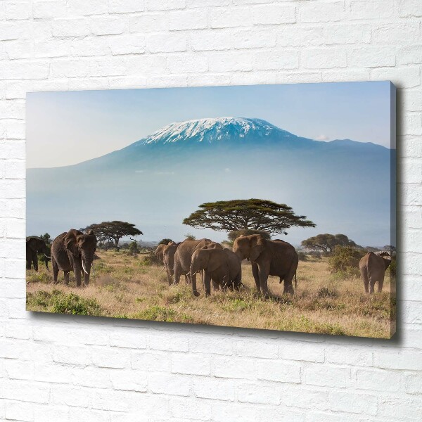 Canvas wall art Kilimanjaro elephants