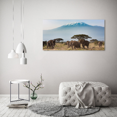 Canvas wall art Kilimanjaro elephants