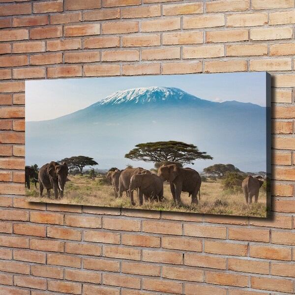 Canvas wall art Kilimanjaro elephants