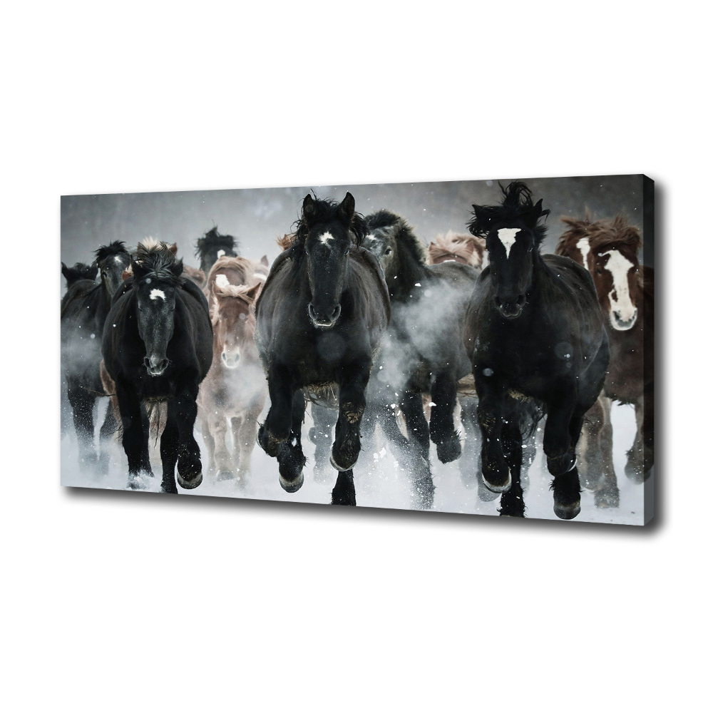 Canvas wall art Horses at gallop