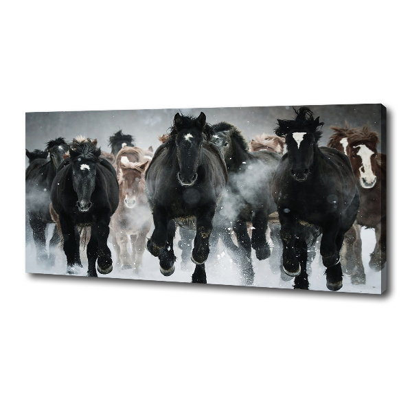 Canvas wall art Horses at gallop