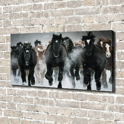 Canvas wall art Horses at gallop