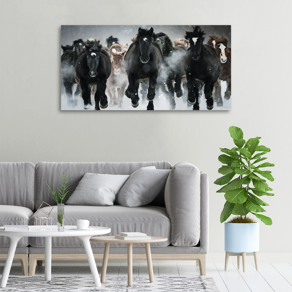 Canvas wall art Horses at gallop