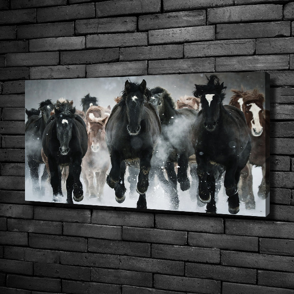 Canvas wall art Horses at gallop