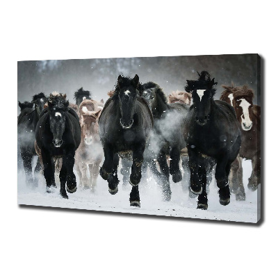 Canvas wall art Horses at gallop