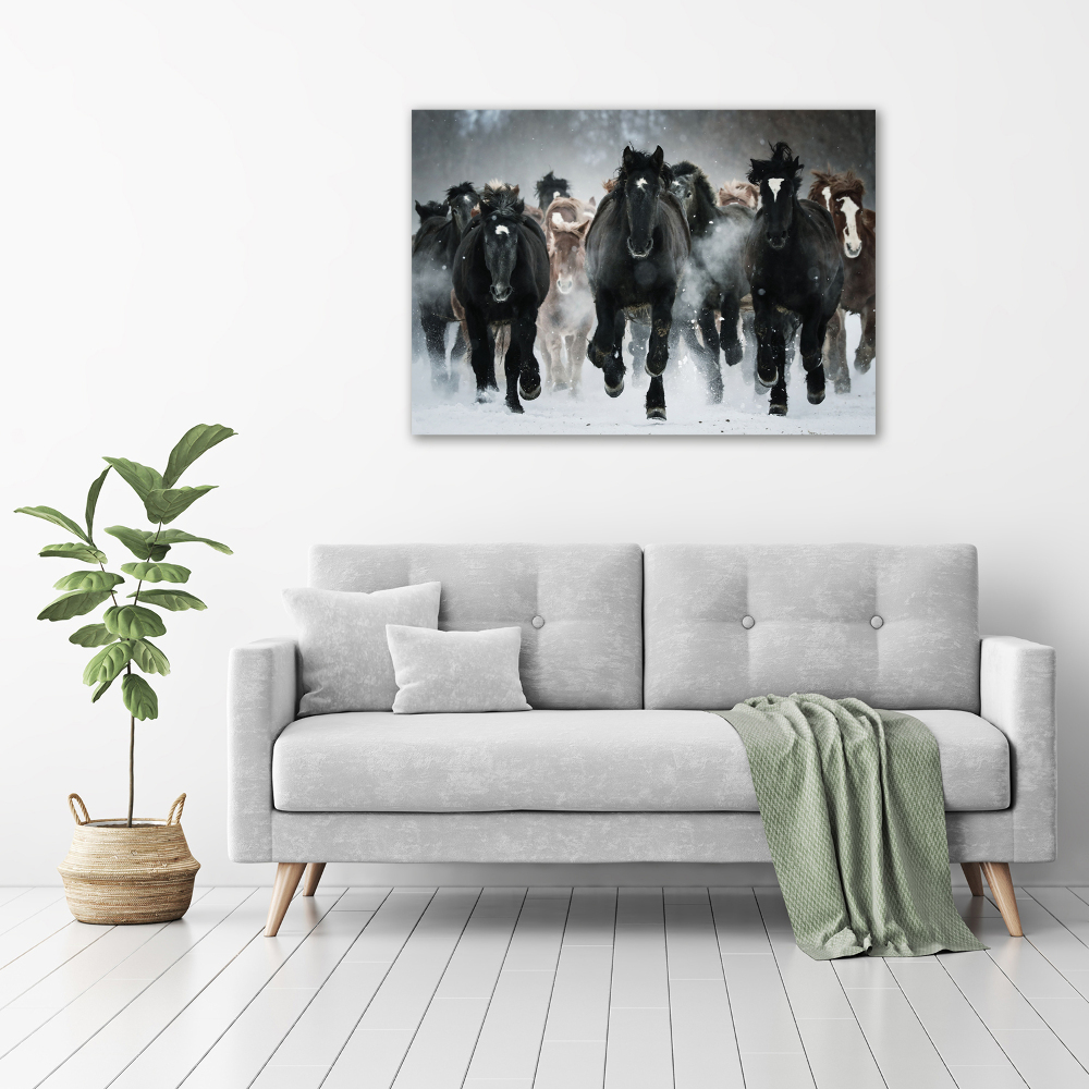 Canvas wall art Horses at gallop