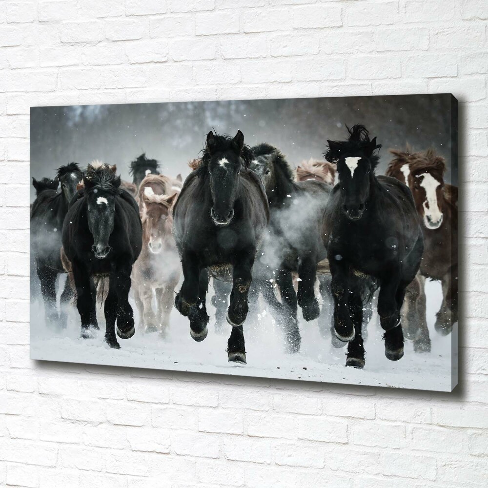 Canvas wall art Horses at gallop