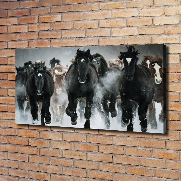 Canvas wall art Horses at gallop