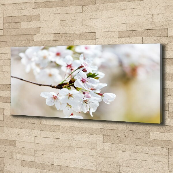 Canvas wall art Cherry blossoms