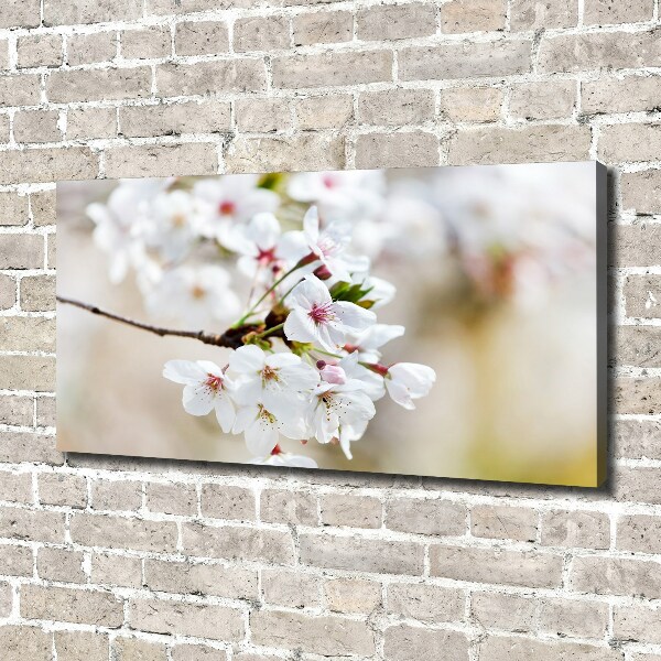 Canvas wall art Cherry blossoms