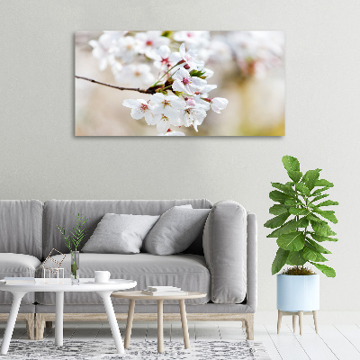 Canvas wall art Cherry blossoms