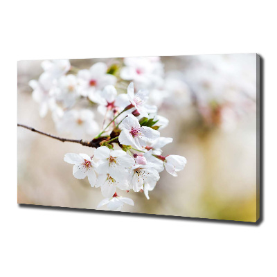 Canvas wall art Cherry blossoms