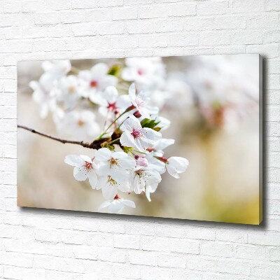 Canvas wall art Cherry blossoms