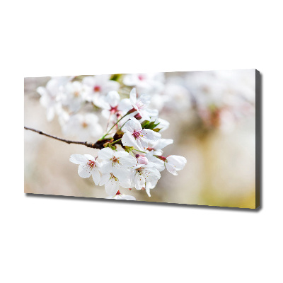 Canvas wall art Cherry blossoms