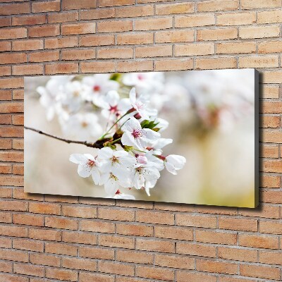 Canvas wall art Cherry blossoms