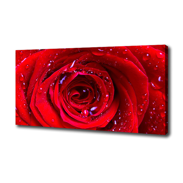 Canvas wall art Rose flower