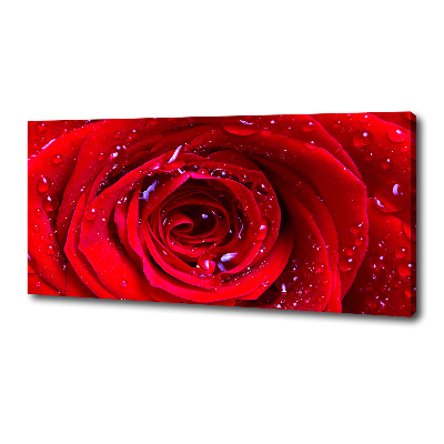 Canvas wall art Rose flower