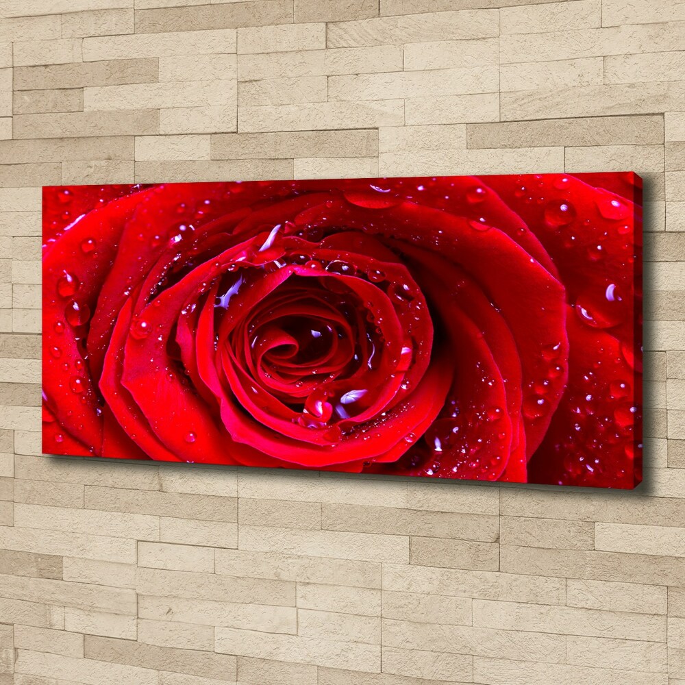 Canvas wall art Rose flower