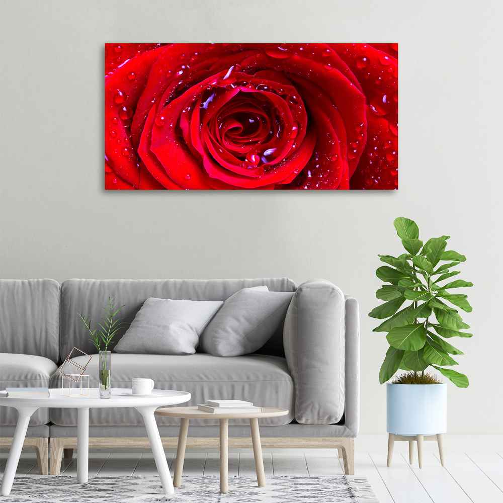 Canvas wall art Rose flower