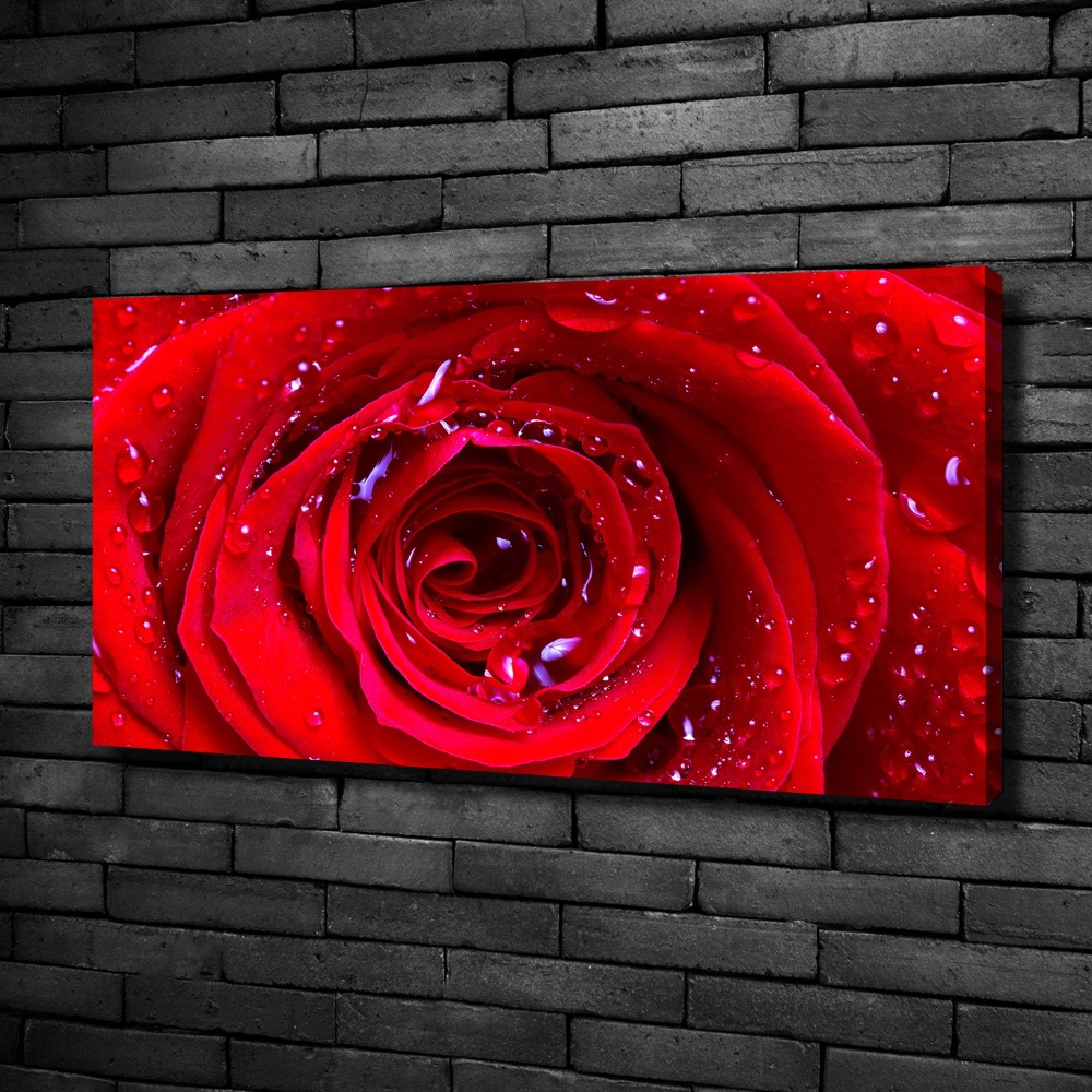 Canvas wall art Rose flower