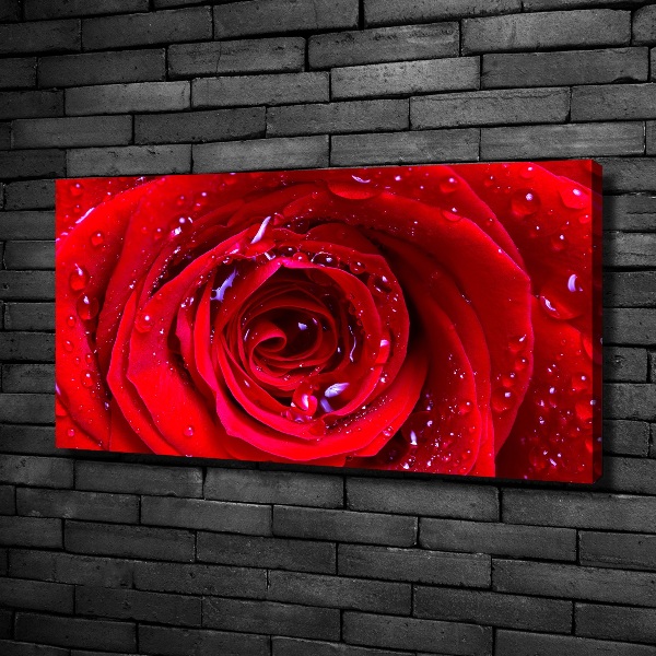 Canvas wall art Rose flower