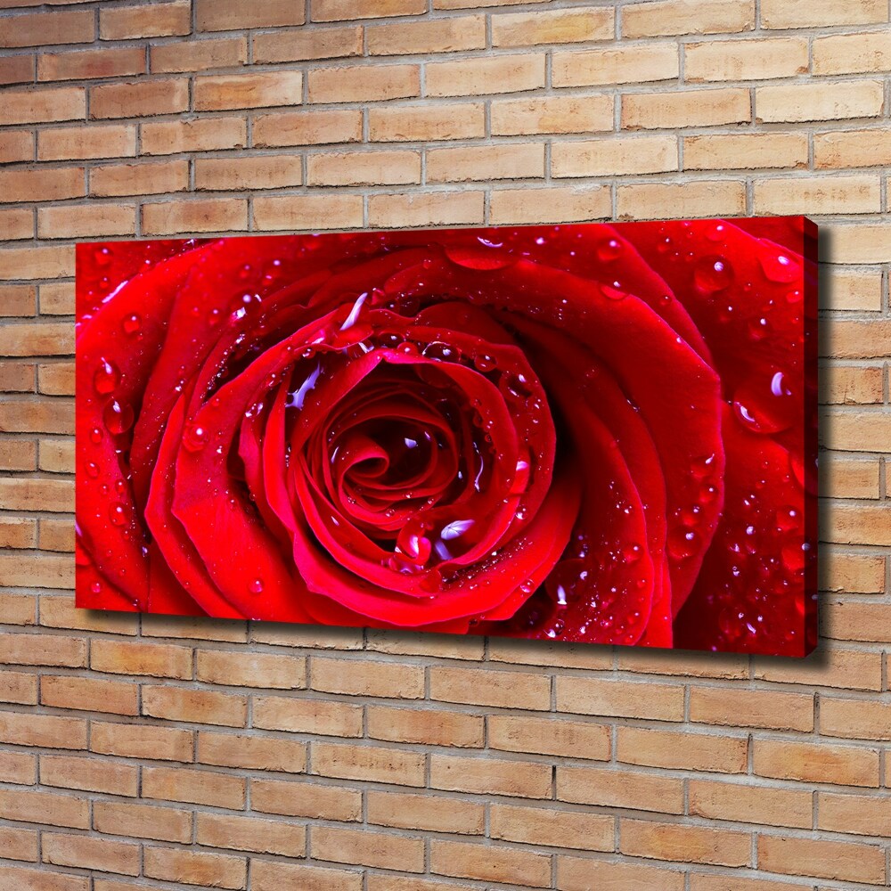 Canvas wall art Rose flower