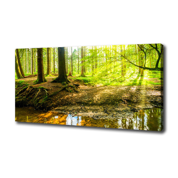 Canvas wall art Rays of the sun forest