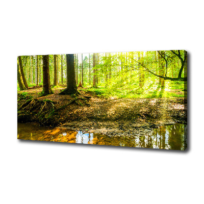 Canvas wall art Rays of the sun forest